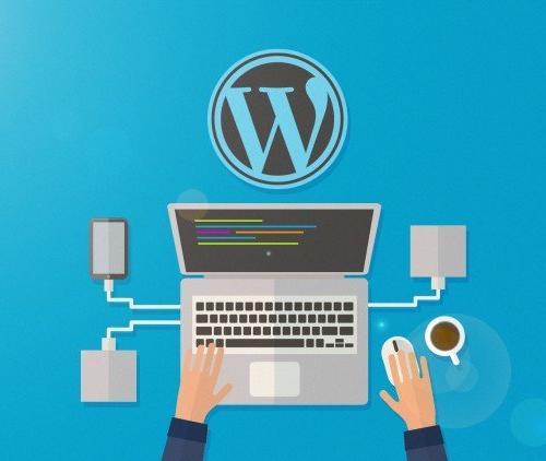 wordpress development
