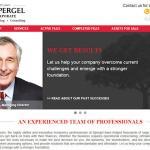 spergel corporate website