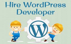 wordpress developer