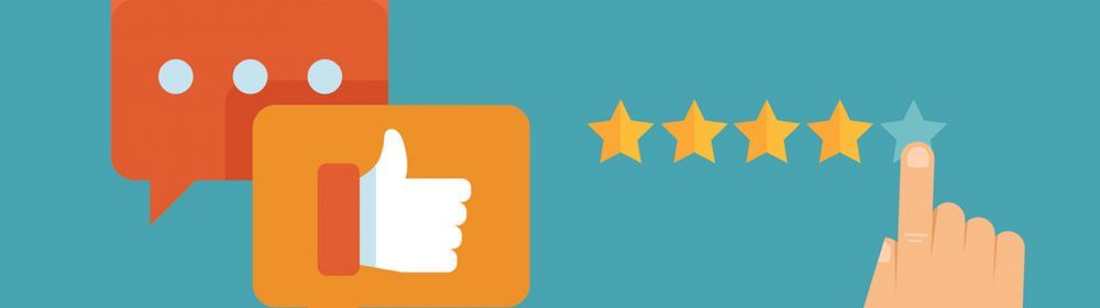 Online Review – Design Toronto Web Fulfills Client Needs